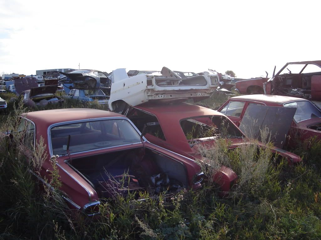 Alberta Auto Wrecker pics For A Bodies Only Mopar Forum